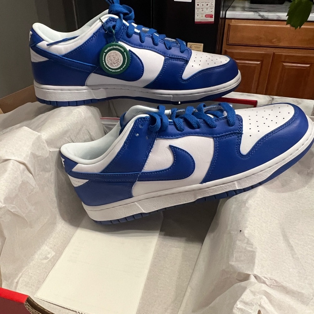 Nike dunks men’s 9.5